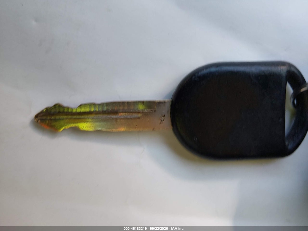 Image 11