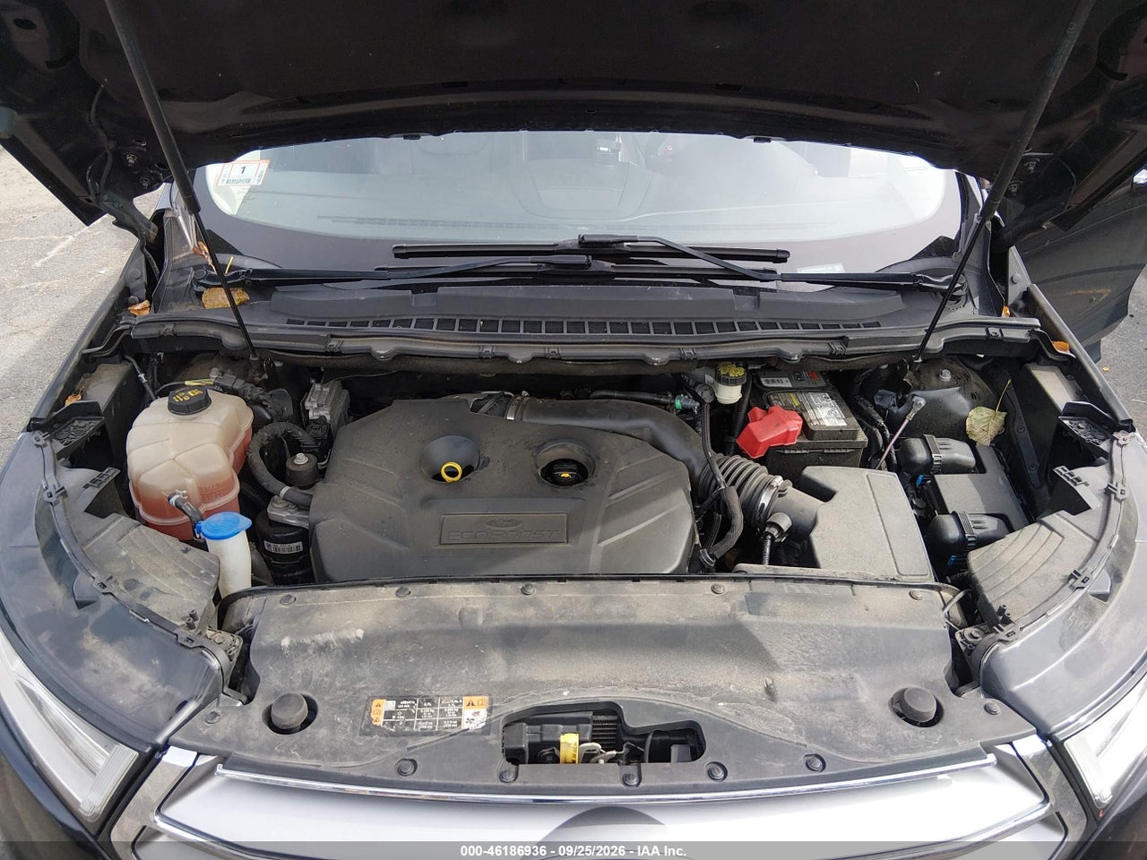 Image 10