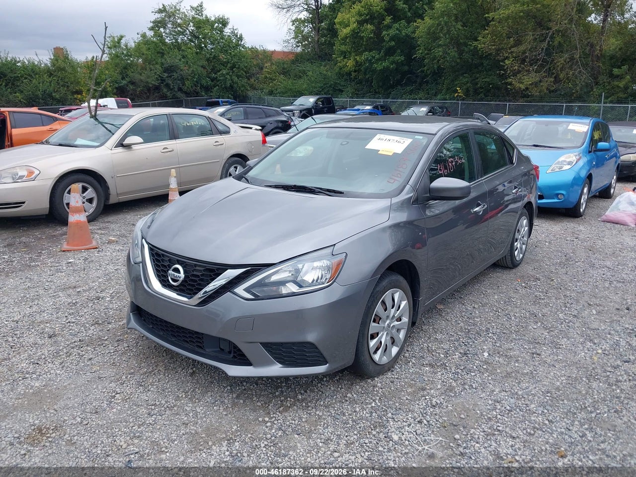 Image 2