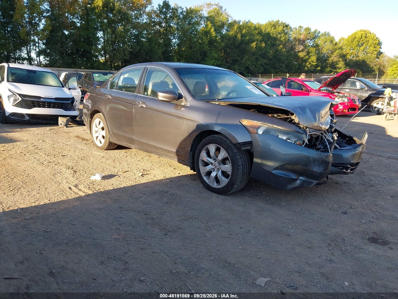 2010 Honda Accord