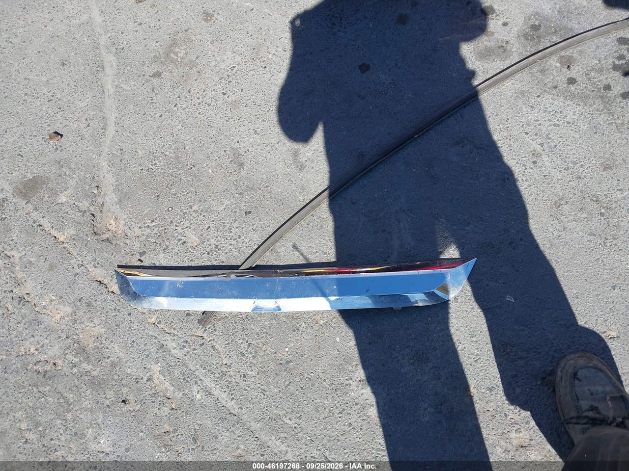 Image 12