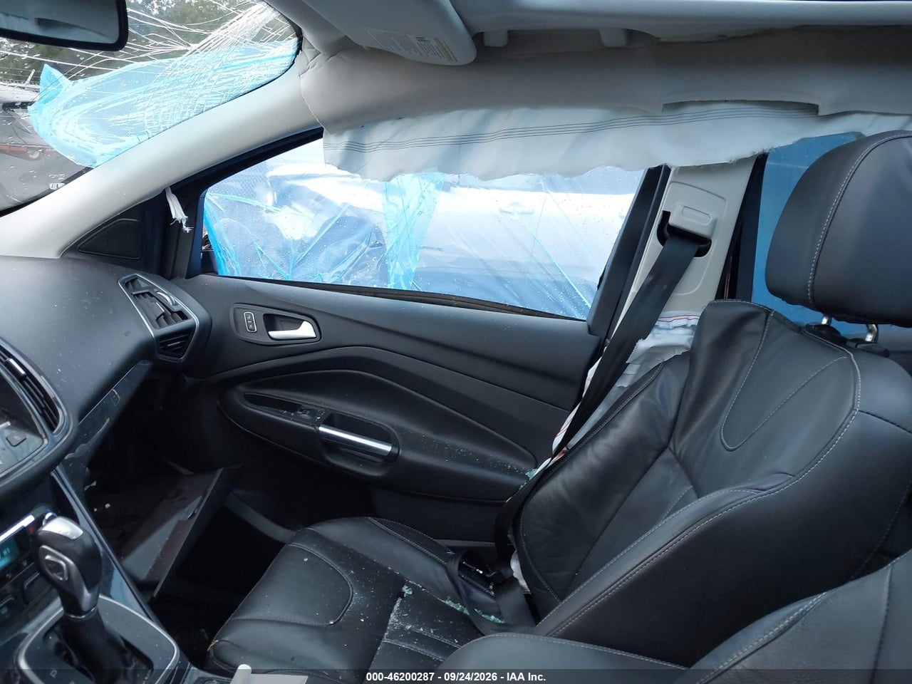 Image 5