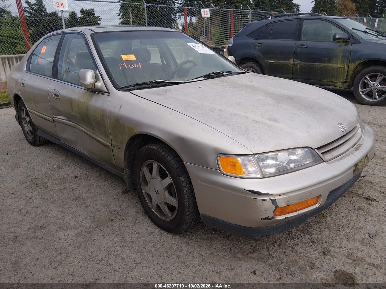 1994 Honda Accord