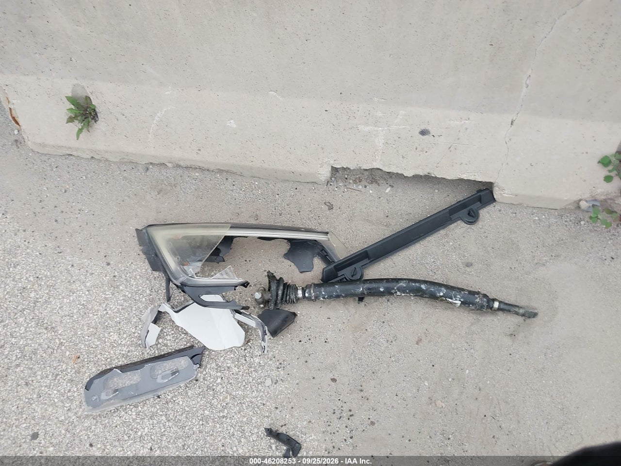 Image 12