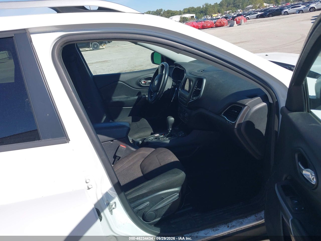 Image 5