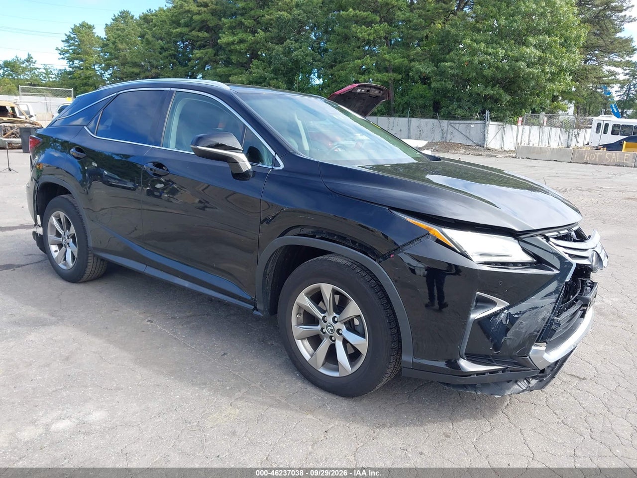 2019 Lexus RX