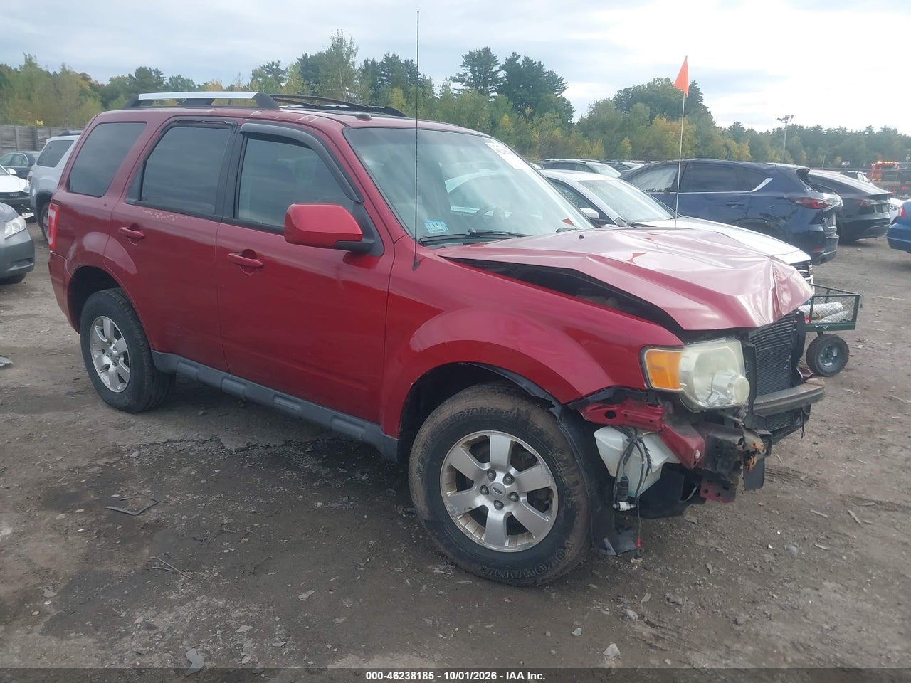 2010 Ford Escape
