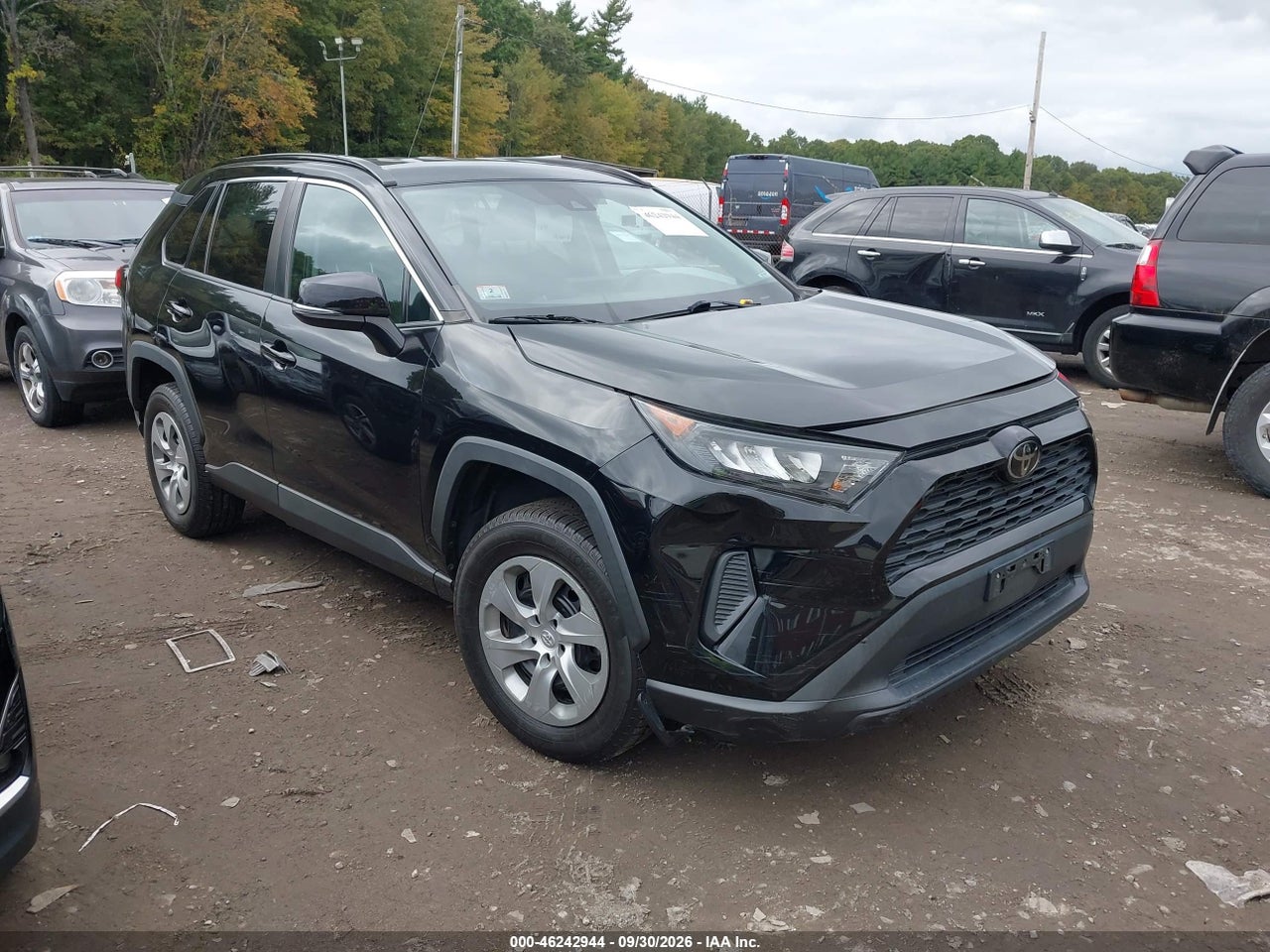 2019 Toyota RAV 4