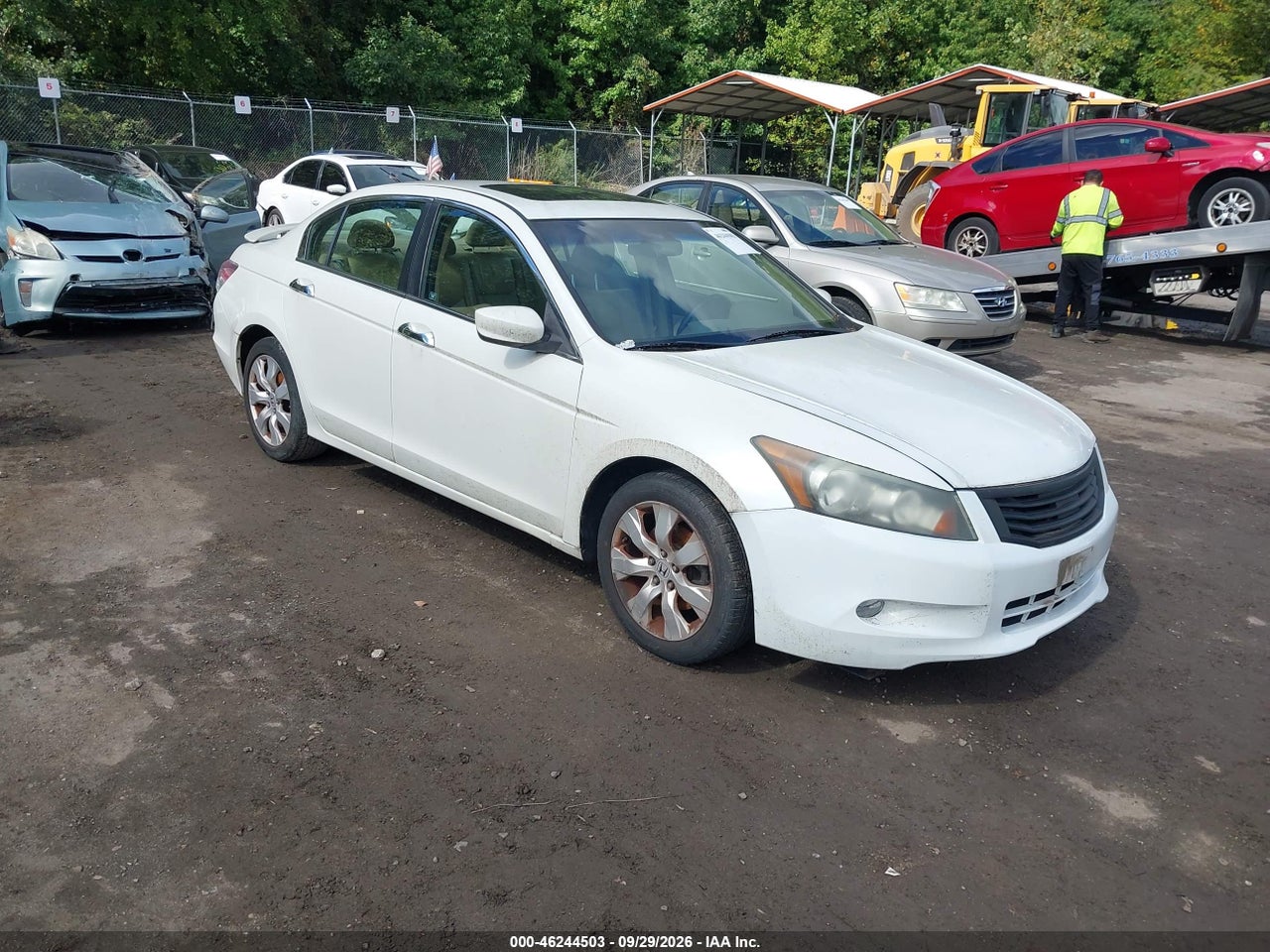 2010 Honda Accord
