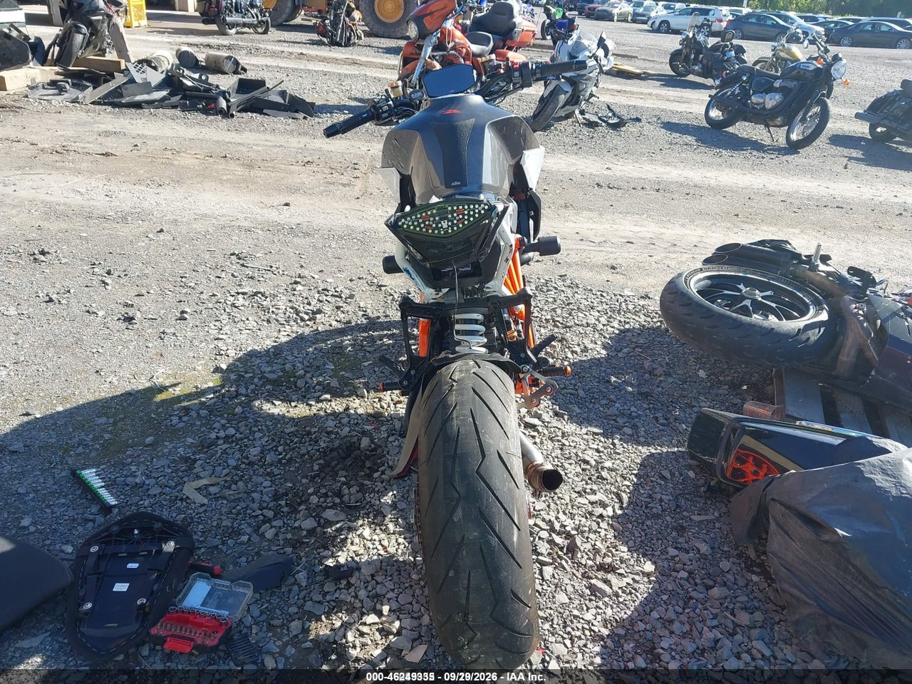 Image 6