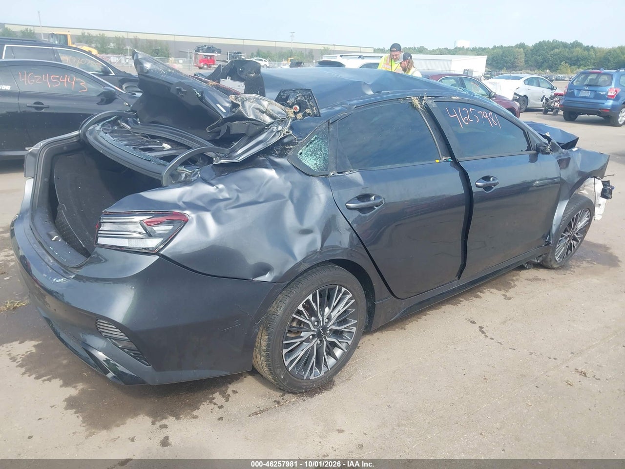 Image 4