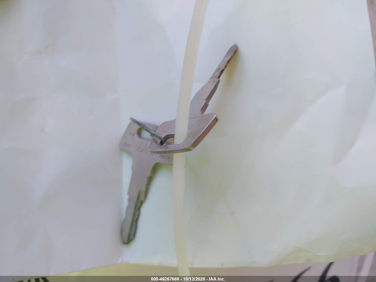 Image 11