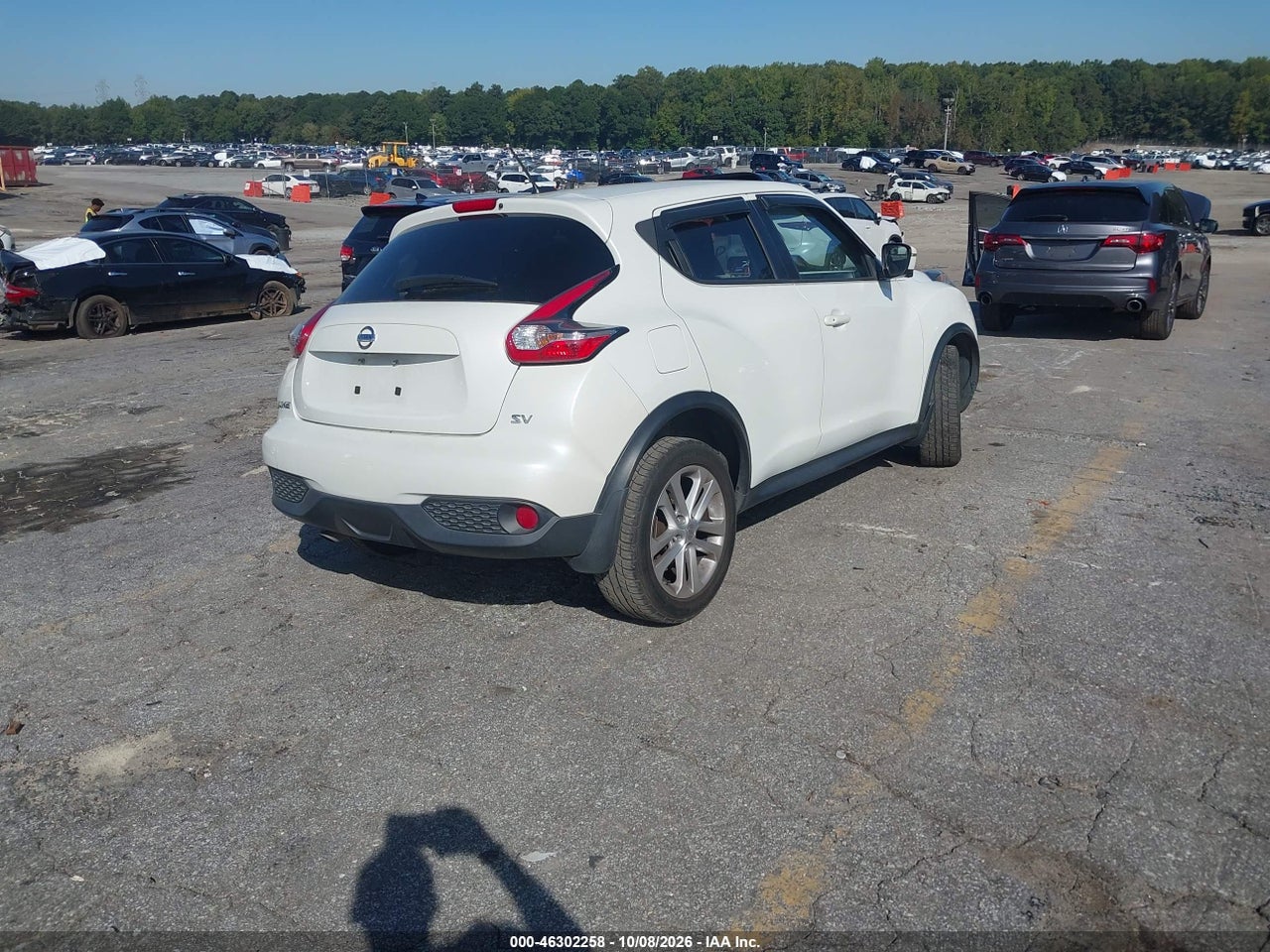 Image 4