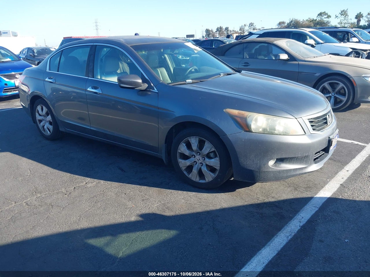2010 Honda Accord