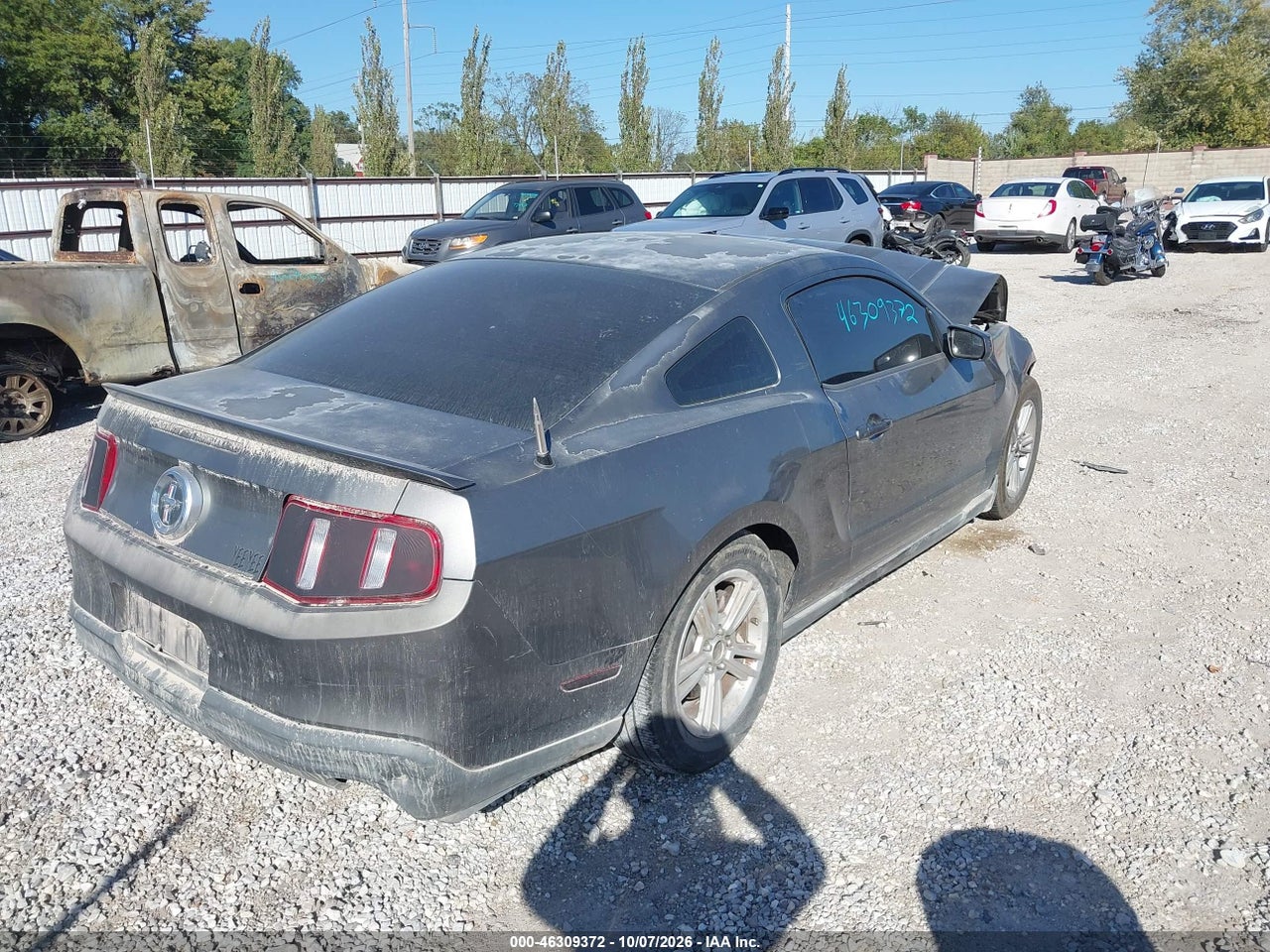 Image 4