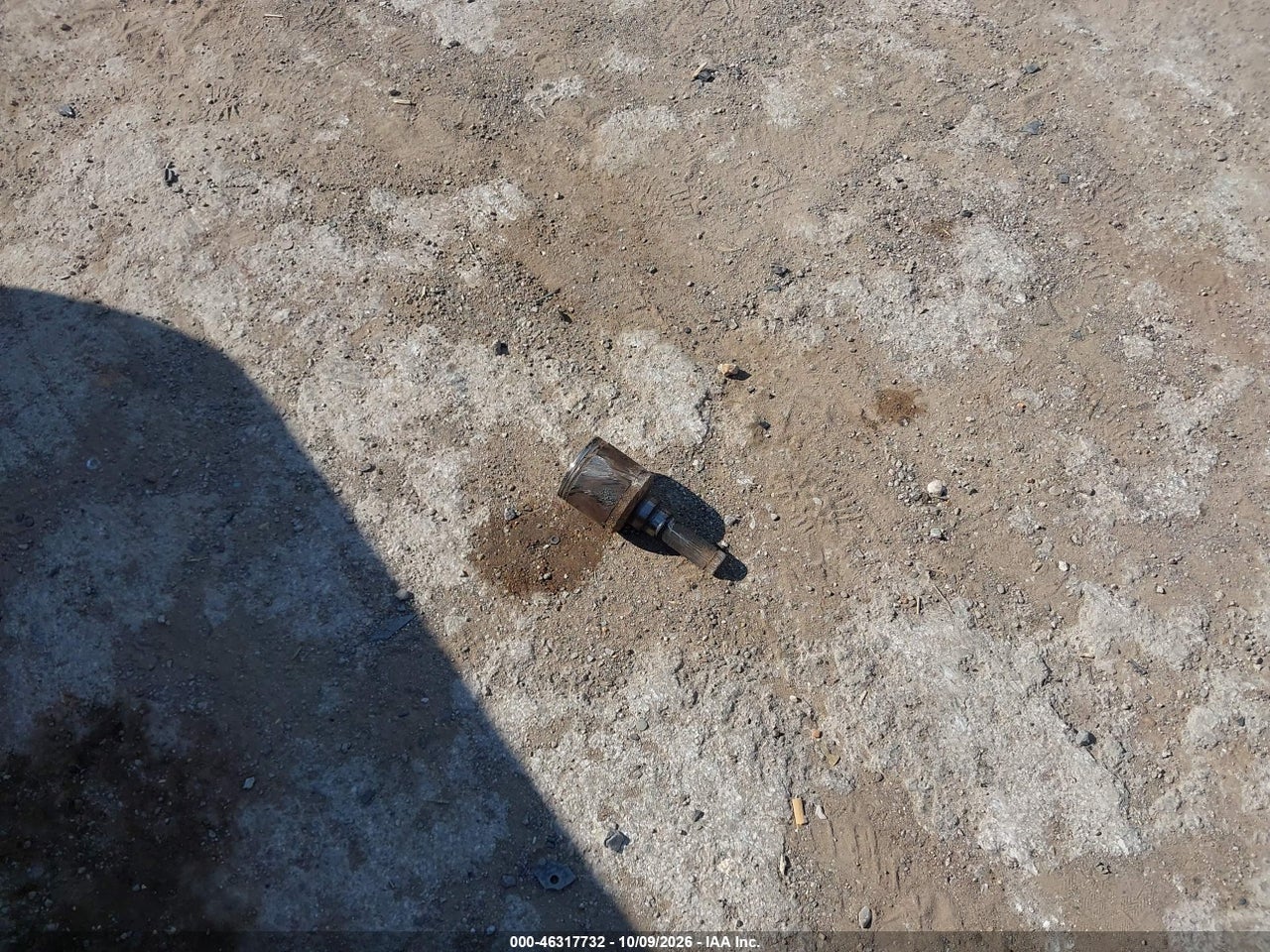 Image 12