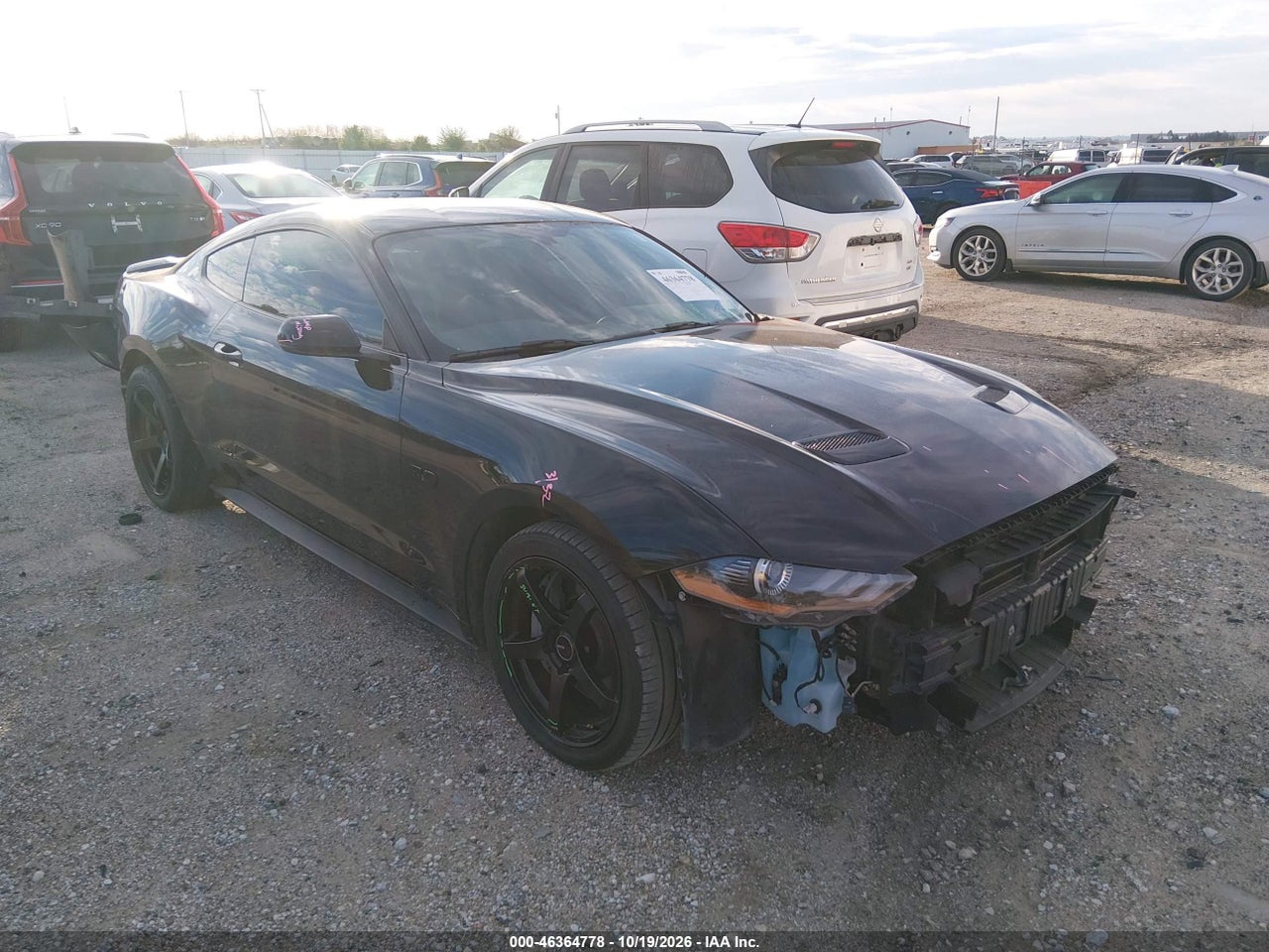 2019 Ford Mustang