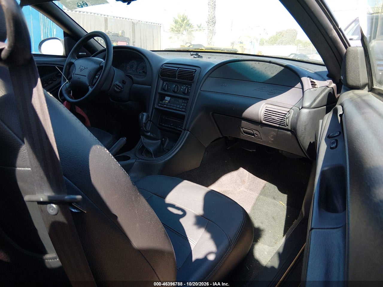 Image 5
