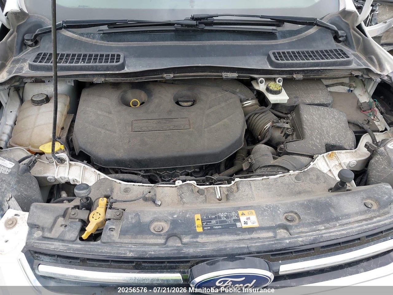 2013 FORD ESCAPE SEL thumbnail 11