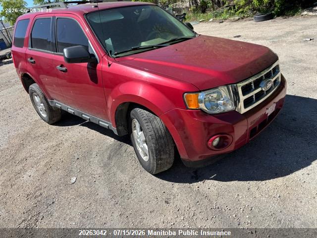 2011 FORD ESCAPE XLT thumbnail 2