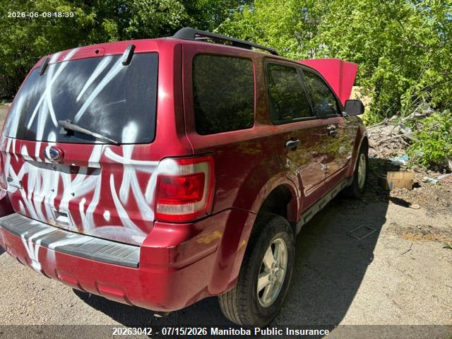 2011 FORD ESCAPE XLT thumbnail 5