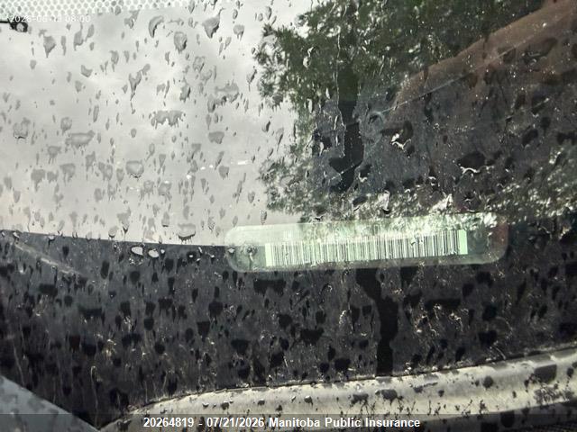 2007 CHEVROLET UPLANDER LS thumbnail 8