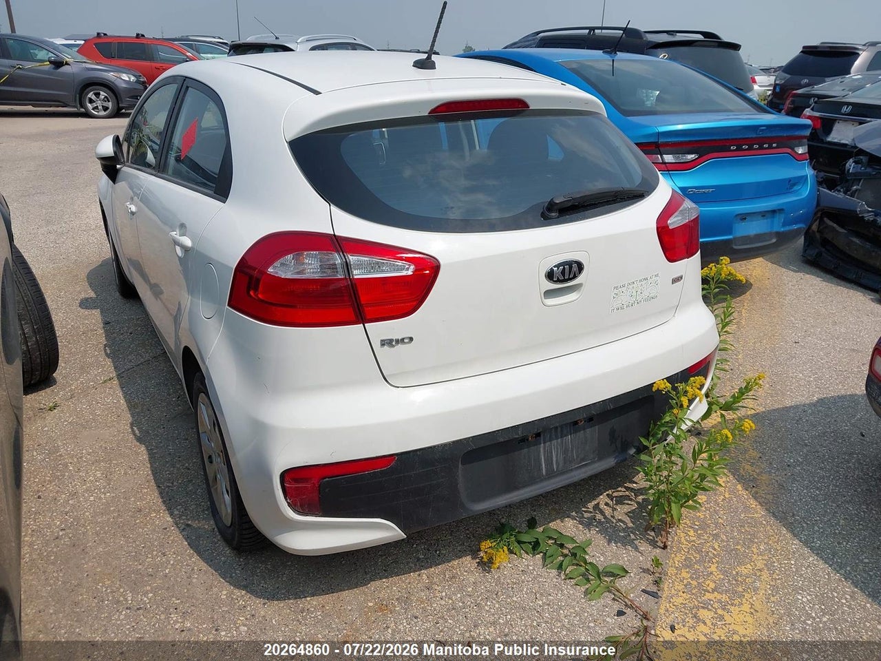 2016 KIA RIO5 LX+  thumbnail 4