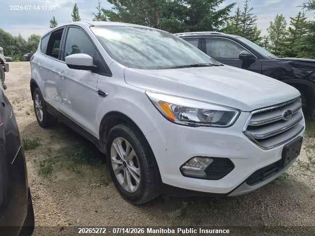 2019 FORD ESCAPE SE thumbnail 2