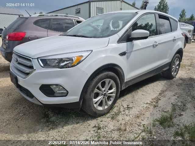 2019 FORD ESCAPE SE thumbnail 3