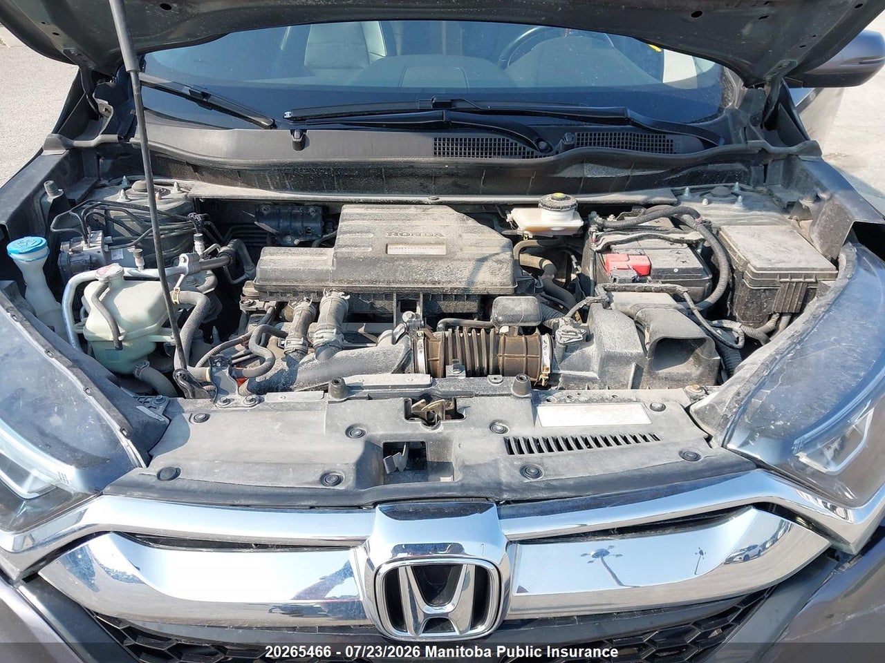2019 HONDA CR-V EX-L thumbnail 11