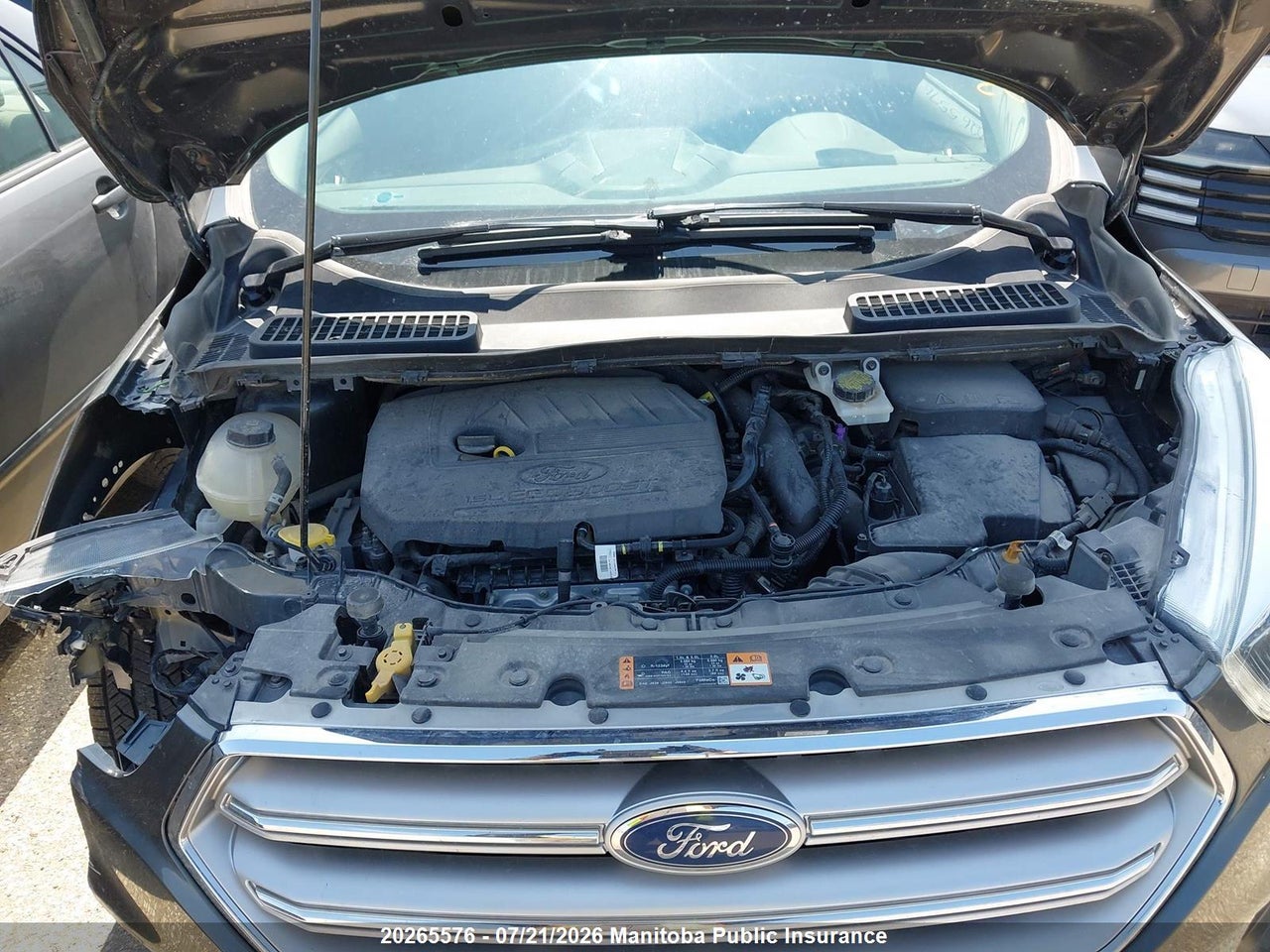 2017 FORD ESCAPE SE thumbnail 11