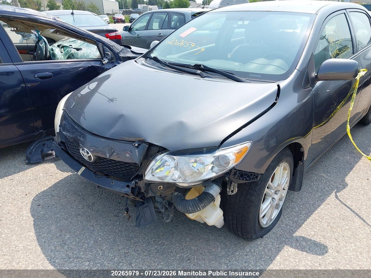 2009 TOYOTA COROLLA CE thumbnail 7