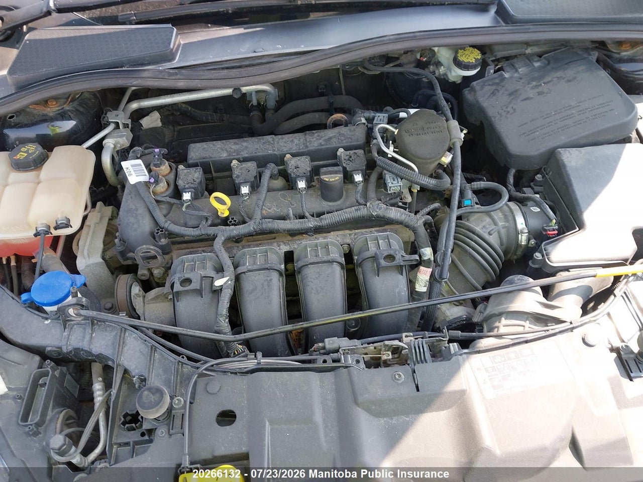 2015 FORD FOCUS SE thumbnail 11