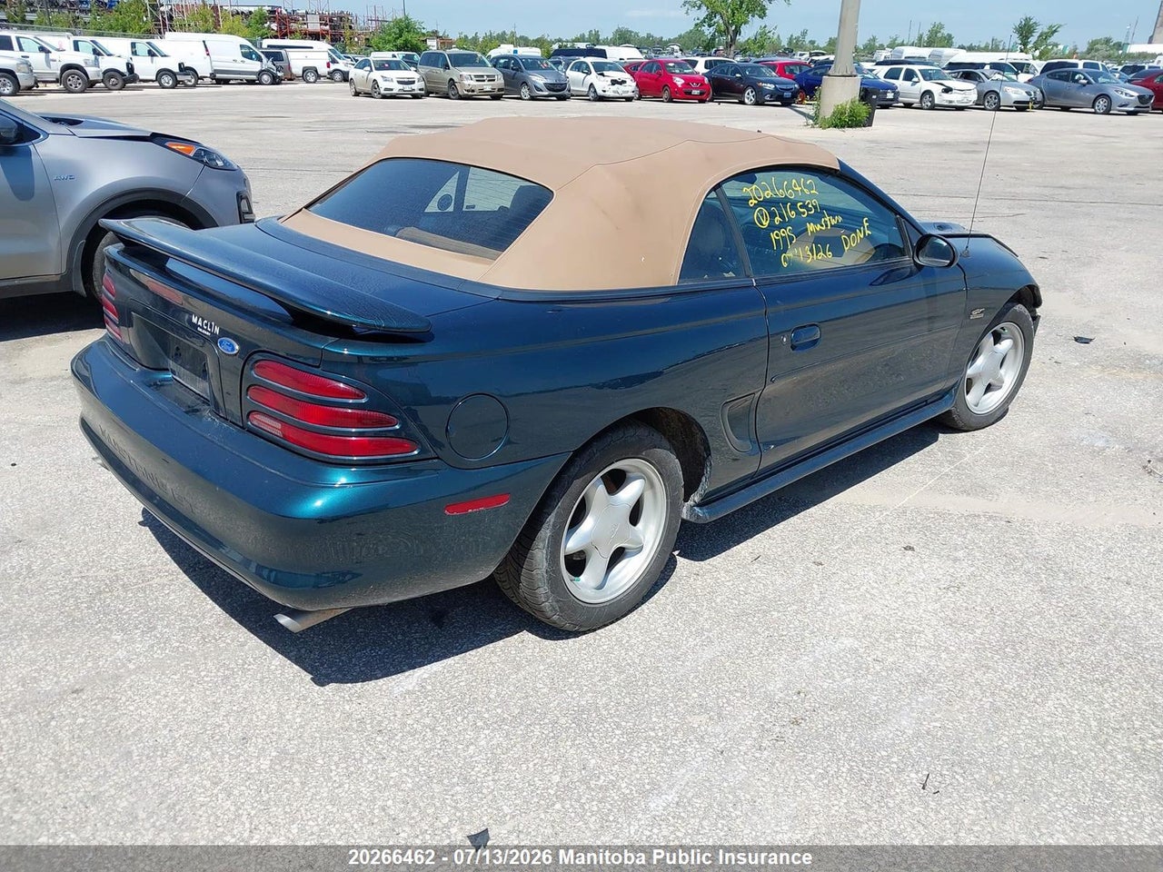 1995 FORD MUSTANG GT thumbnail 5