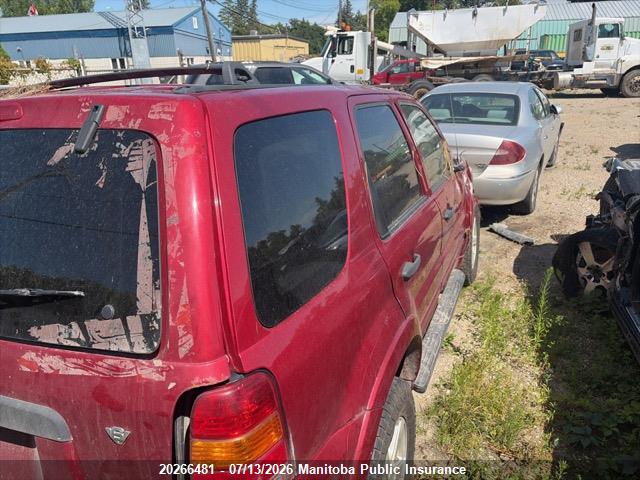 2007 FORD ESCAPE XLT V6  thumbnail 5