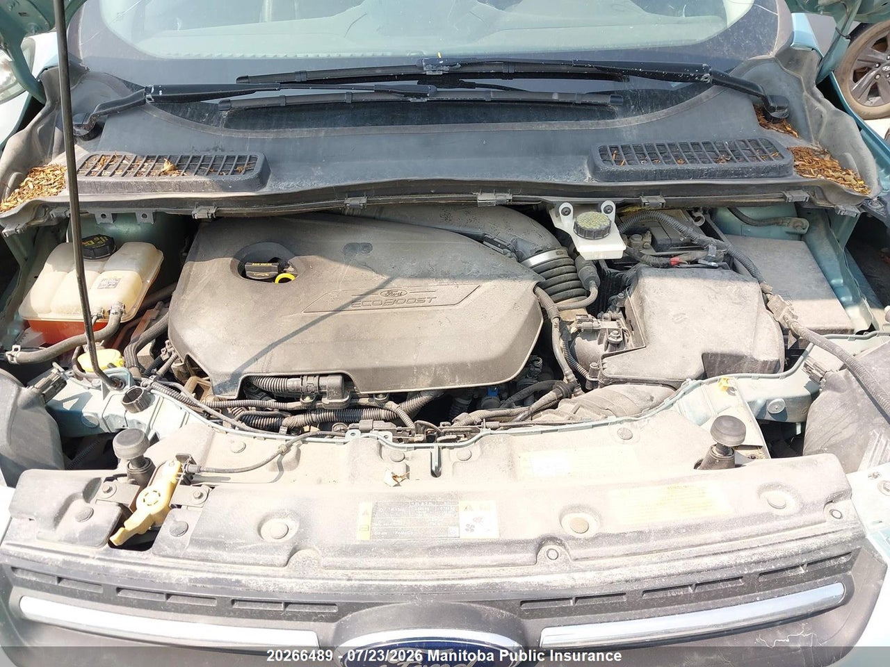 2013 FORD ESCAPE SE thumbnail 11