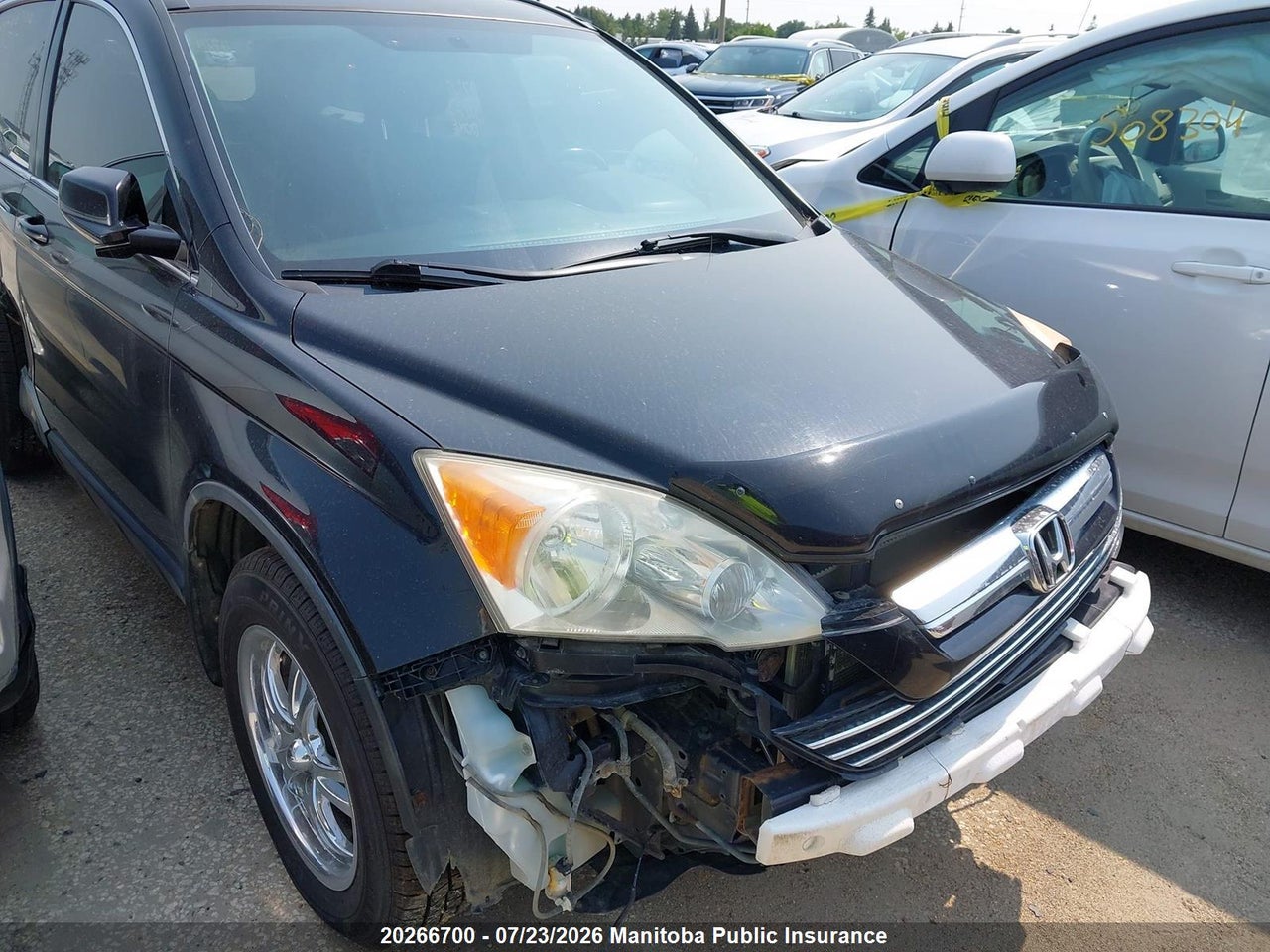 2007 HONDA CR-V EX-L thumbnail 7