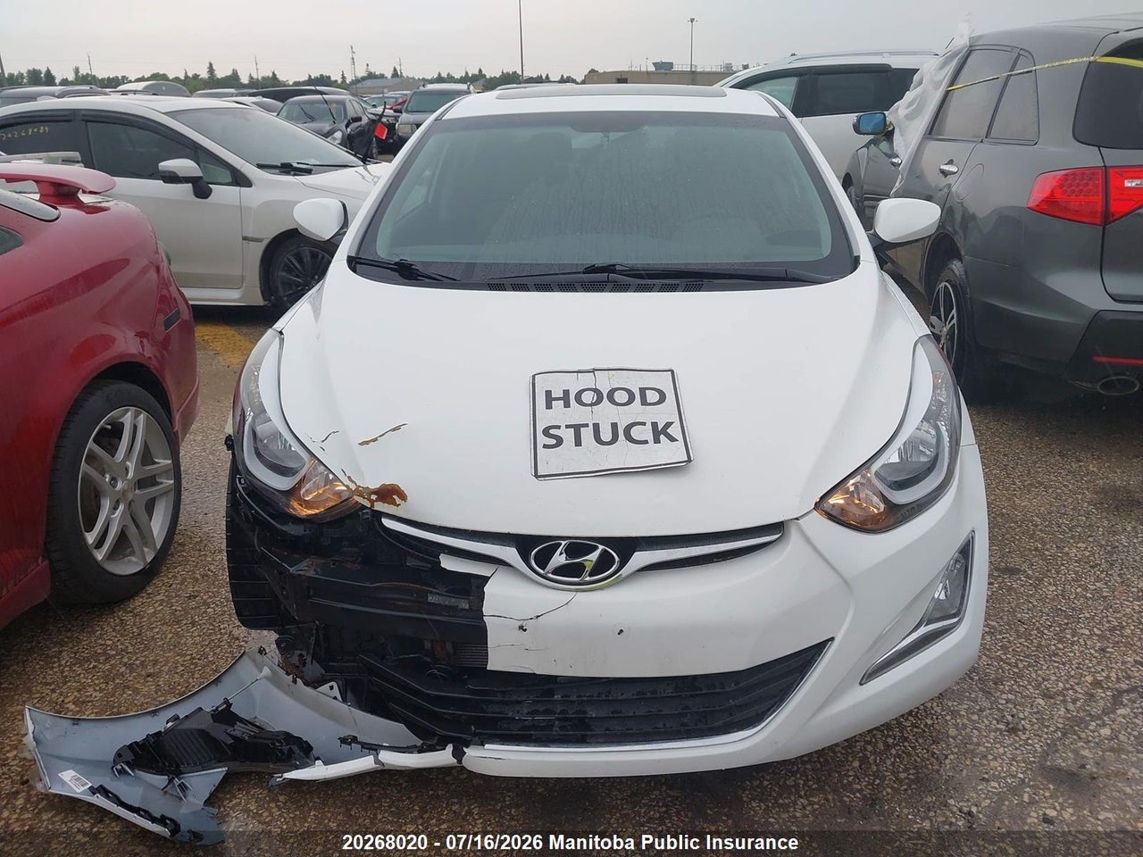 2014 HYUNDAI ELANTRA GLS thumbnail 11