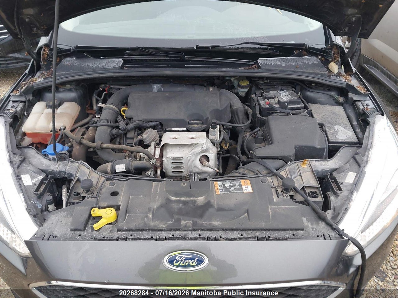 2016 FORD FOCUS SE thumbnail 11