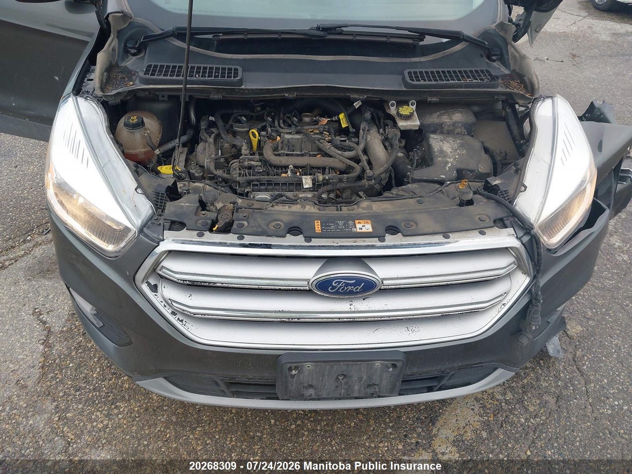 2019 FORD ESCAPE SE thumbnail 10