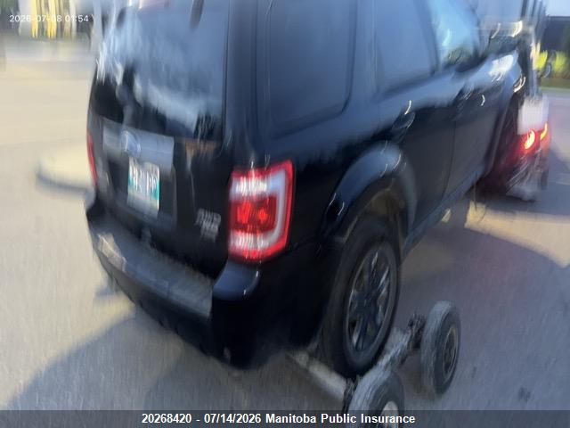 2011 FORD ESCAPE XLT V6  thumbnail 11