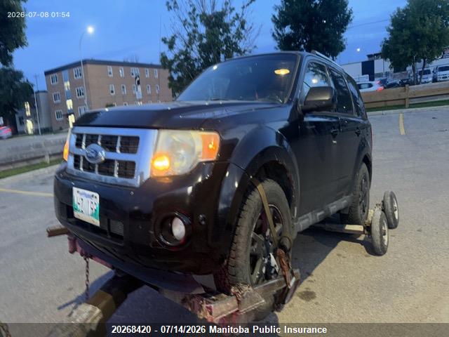 2011 FORD ESCAPE XLT V6  thumbnail 8