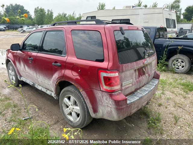 2009 FORD ESCAPE XLT V6  thumbnail 4