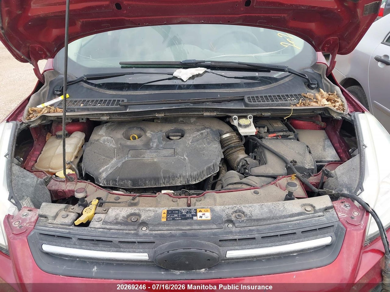 2016 FORD ESCAPE SE thumbnail 11