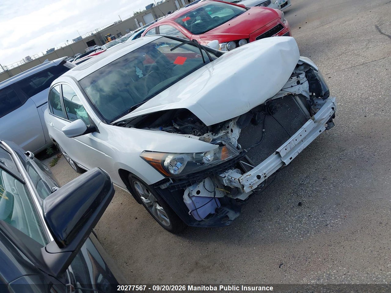 2010 Honda Accord