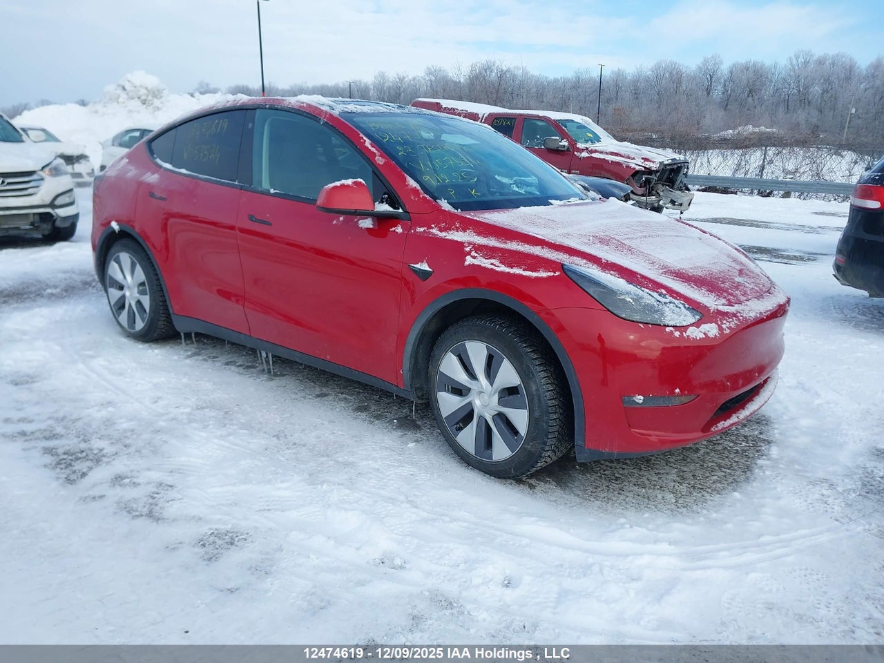 2023 TESLA MODEL Y RWD thumbnail 2