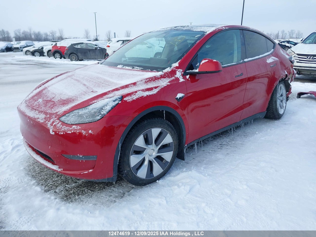 2023 TESLA MODEL Y RWD thumbnail 3