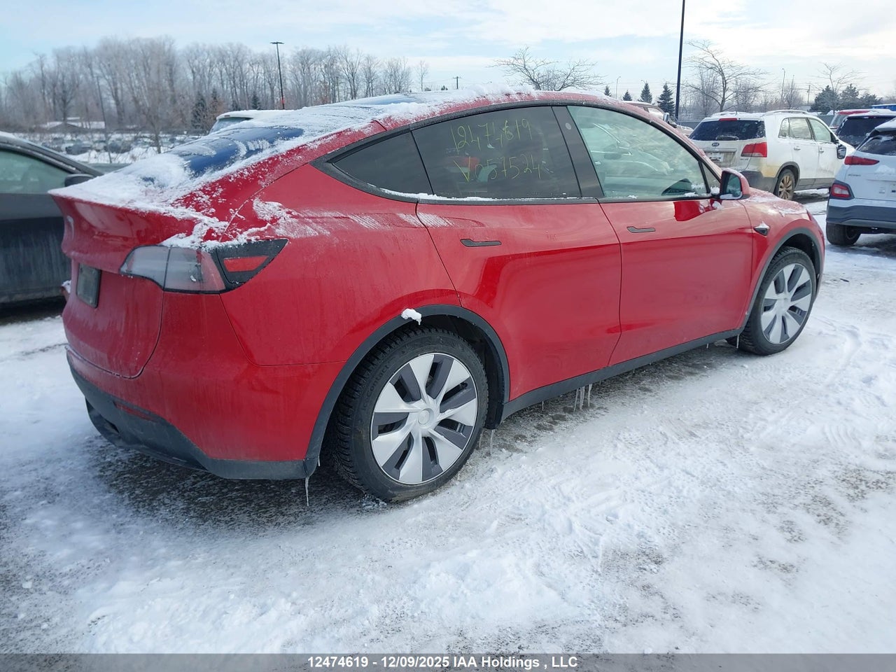 2023 TESLA MODEL Y RWD thumbnail 5