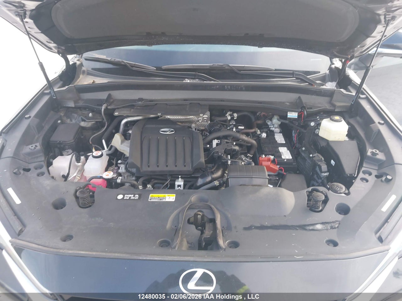 2024 LEXUS TX 350 BASE/350 PREMIUM/350 LUXURY thumbnail 11