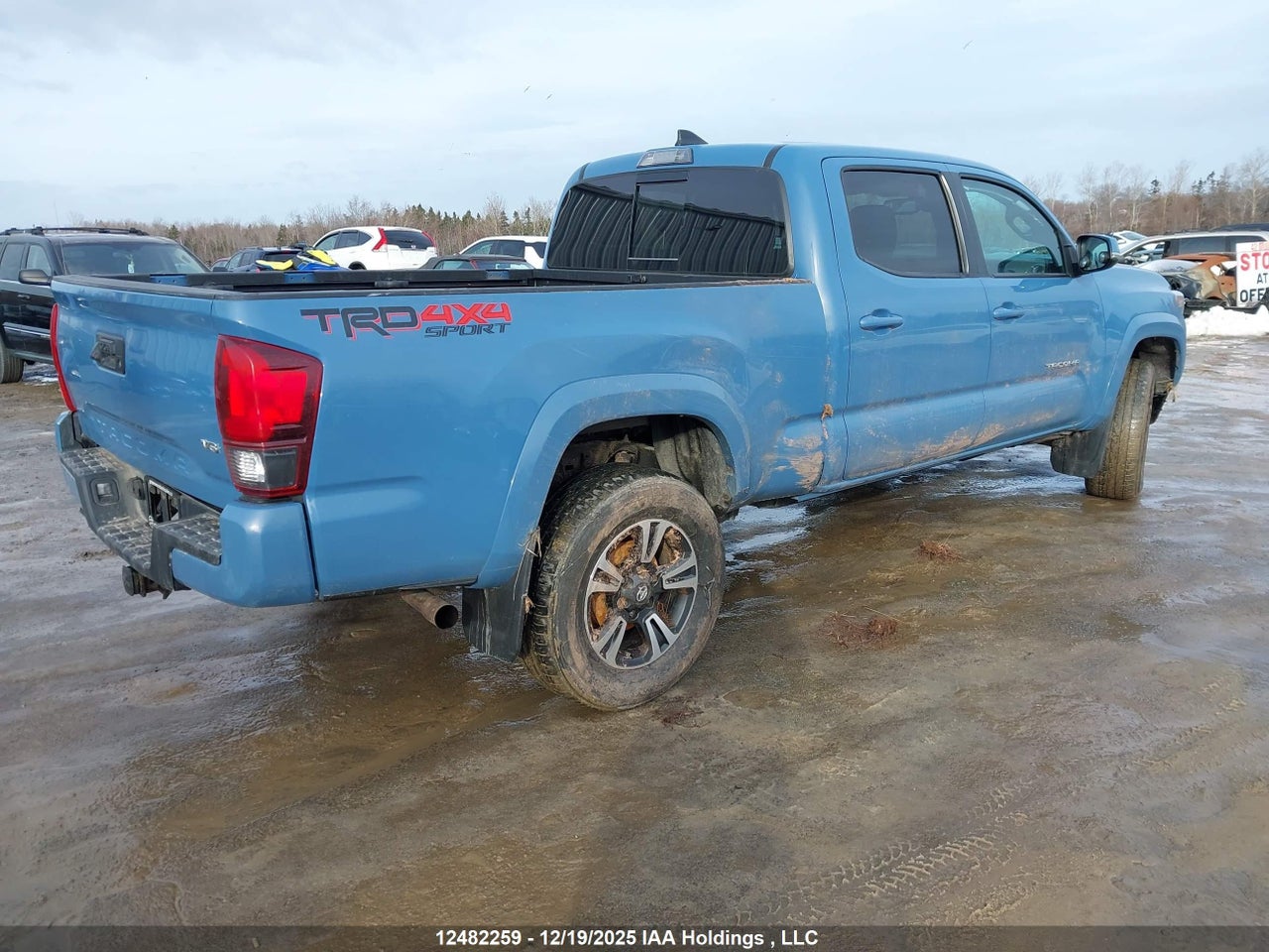 2019 TOYOTA TACOMA DOUBLE CAB/SR5/TRD SPORT/TRD OFF ROAD thumbnail 5